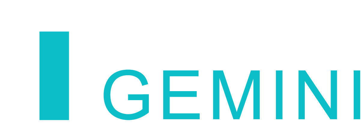 Bridge Gemini